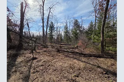 8517 S Owen Avenue, Baldwin, MI 49304 - Photo 10