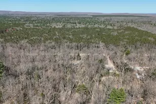 2073 Gunn Rd, Manistee, MI 49660 - Photo 32