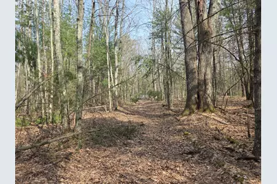 00 6 Mile Road, Irons, MI 49644 - Photo 14
