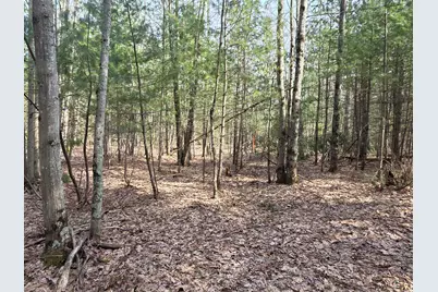 00 6 Mile Road, Irons, MI 49644 - Photo 22