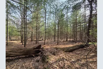 00 6 Mile Road, Irons, MI 49644 - Photo 18