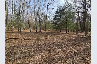 00 6 Mile Road, Irons, MI 49644 - Photo 16