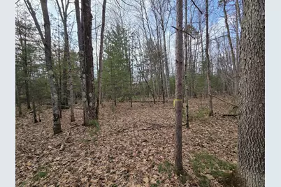 00 6 Mile Road, Irons, MI 49644 - Photo 16