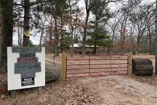 5169 S Tomahawk Trail, Baldwin, MI 49304 - Photo 48