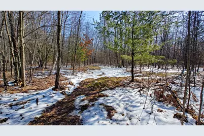 Vl Mena Creek Crossing, White Cloud, MI 49349 - Photo 28