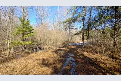 Vl Mena Creek Crossing, White Cloud, MI 49349 - Photo 24