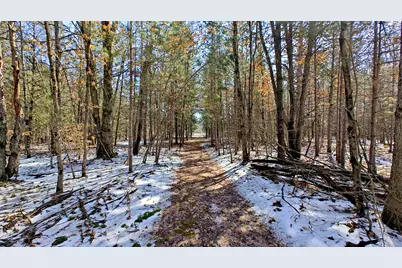 Vl Mena Creek Crossing, White Cloud, MI 49349 - Photo 32