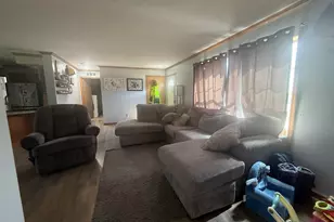 460 E Ellsworth St, Bellevue, MI 49021 - Photo 26