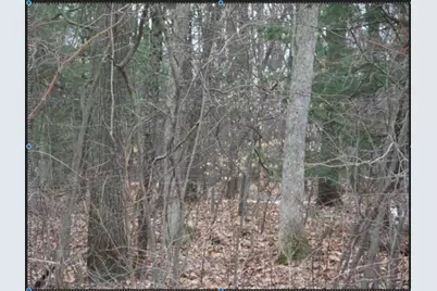 Vl Staple Road, Muskegon, MI 49445 - Photo 1