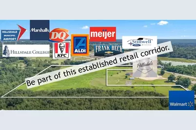 Parcel B W Carleton Road, Jonesville, MI 49250 - Photo 2