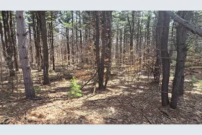 Vl 2.83A N Oceana Drive, Shelby, MI 49455 - Photo 22