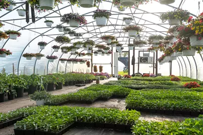 8627 Cleveland Avenue, Baroda, MI 49101 - Photo 26