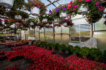 8627 Cleveland Avenue, Baroda, MI 49101 - Photo 22