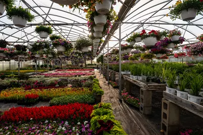 8627 Cleveland Avenue, Baroda, MI 49101 - Photo 34