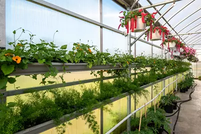 8627 Cleveland Avenue, Baroda, MI 49101 - Photo 42