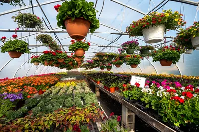 8627 Cleveland Avenue, Baroda, MI 49101 - Photo 24