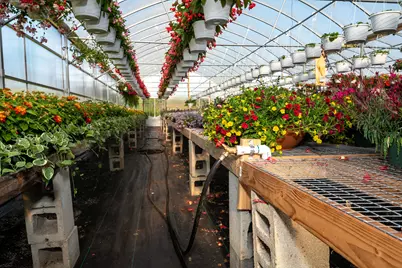 8627 Cleveland Avenue, Baroda, MI 49101 - Photo 36