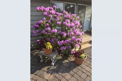 1761 Edgewood Avenue SE, Grand Rapids, MI 49506 - Photo 44