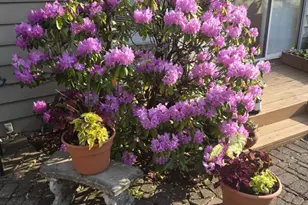 1761 Edgewood Ave SE, Grand Rapids, MI 49506 - Photo 44