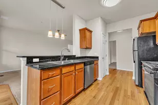 331 Scio Village Ct, Ann Arbor, MI 48103 - Photo 14