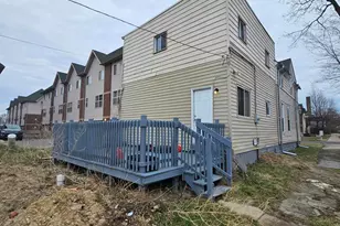 3905 Wabash St, Detroit, MI 48208 - Photo 10