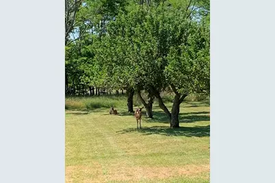 1050 Sidlauskas Drive NW, Sparta, MI 49345 - Photo 10