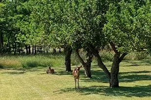 1050 Sidlauskas Dr NW, Sparta, MI 49345 - Photo 10