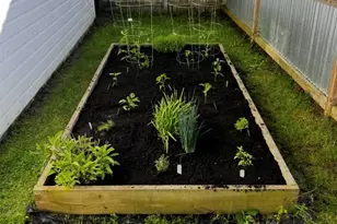 104 E Locust St, Three Oaks, MI 49128 - Photo 14