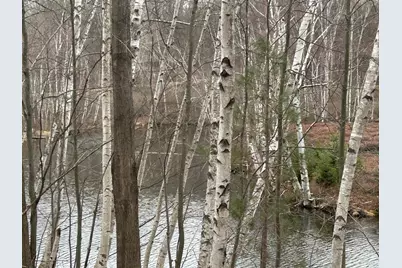 10910 Boxwood Drive #247, Canadian Lakes, MI 49346 - Photo 4