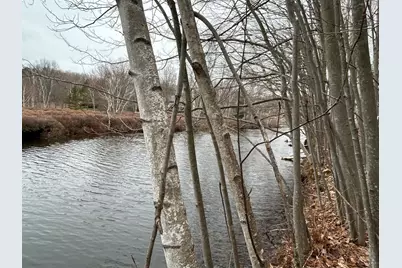 10910 Boxwood Drive #247, Canadian Lakes, MI 49346 - Photo 2