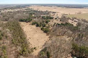 1695 160th Ave, Morley, MI 49336 - Photo 48