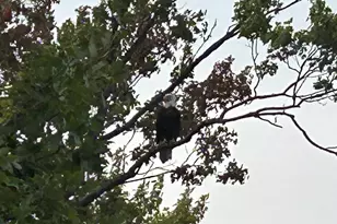 5320 Stella Rd, Custer, MI 49405 - Photo 62