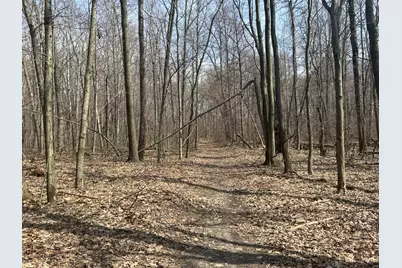 6551 Brown Road, Jonesville, MI 49250 - Photo 4