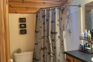 10022 S Rebecca Rd, Baldwin, MI 49304 - Photo 72