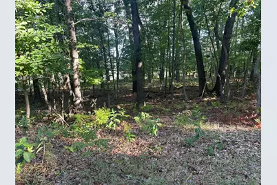 10022 S Rebecca Road, Baldwin, MI 49304 - Photo 114