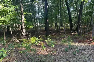 10022 S Rebecca Rd, Baldwin, MI 49304 - Photo 114