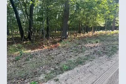 10022 S Rebecca Road, Baldwin, MI 49304 - Photo 116