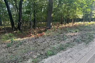 10022 S Rebecca Rd, Baldwin, MI 49304 - Photo 116