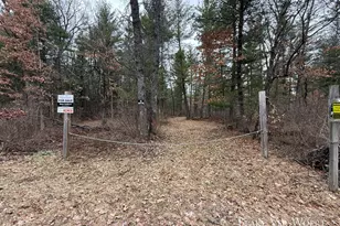 V/L 20 49A E 15 Mile Rd, Bitely, MI 49309 - Photo 1