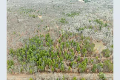 V/L 20.49A E 15 Mile Road, Bitely, MI 49309 - Photo 2
