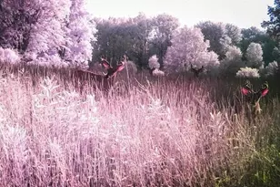 6015 S 124th Ave, Rothbury, MI 49452 - Photo 36