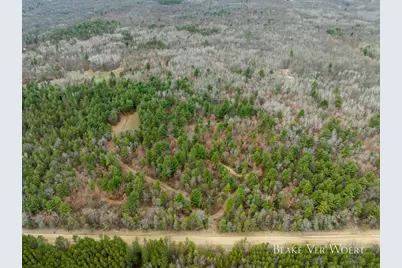 V/L 20.5A N Walnut Avenue, Bitely, MI 49309 - Photo 8