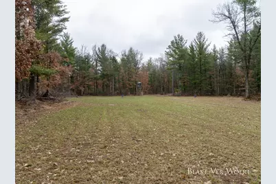 V/L 20.5A N Walnut Avenue, Bitely, MI 49309 - Photo 4