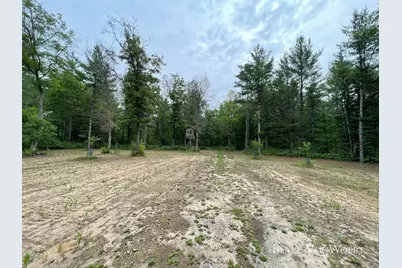 V/L 20.5A N Walnut Avenue, Bitely, MI 49309 - Photo 12