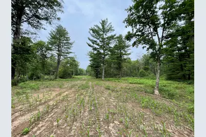 V/L 21A E 15 Mile Road, Bitely, MI 49309 - Photo 16