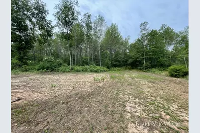 V/L 21A E 15 Mile Road, Bitely, MI 49309 - Photo 24
