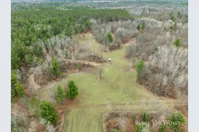 V/L 21A E 15 Mile Road, Bitely, MI 49309 - Photo 8