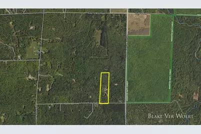 V/L 21A E 15 Mile Road, Bitely, MI 49309 - Photo 4