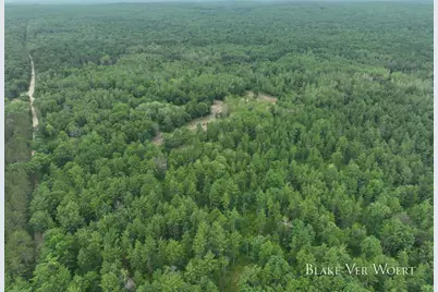 V/L 21A E 15 Mile Road, Bitely, MI 49309 - Photo 12