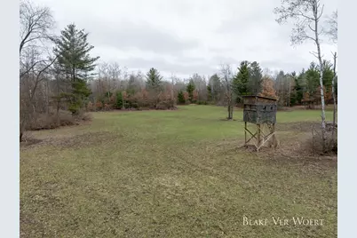 V/L 21A E 15 Mile Road, Bitely, MI 49309 - Photo 1
